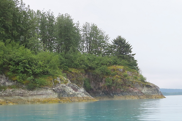 Shoreline in muir inlet Glacier Bay National Park Alaska