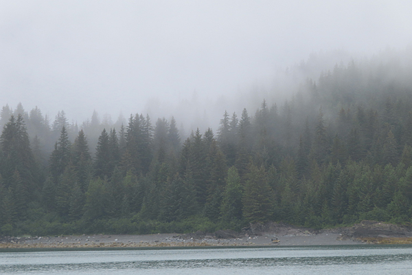Shoreline in muir inlet Glacier Bay National Park Alaska