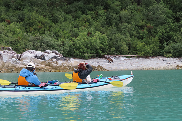 kayak watching brown bear on rocky shore 