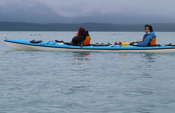 kayak and surf scoters