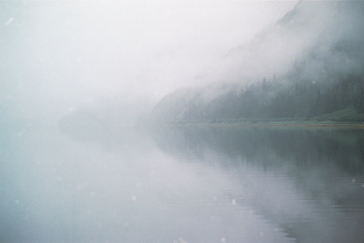 reflection of foggy bay with some light green trees showing through