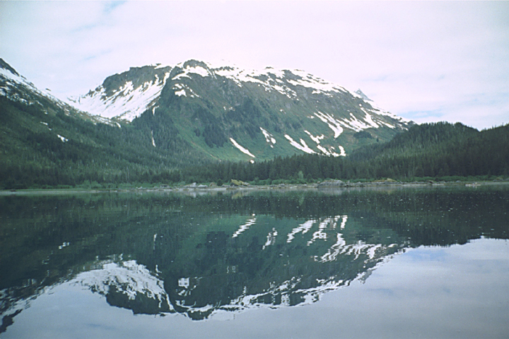 snow hills green forest reflection in alaska