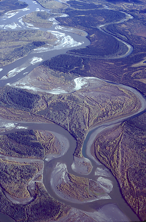 aerial in alaska of curving river and trees in fall