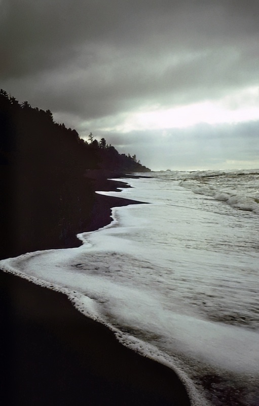 oregon coastline in black and white
