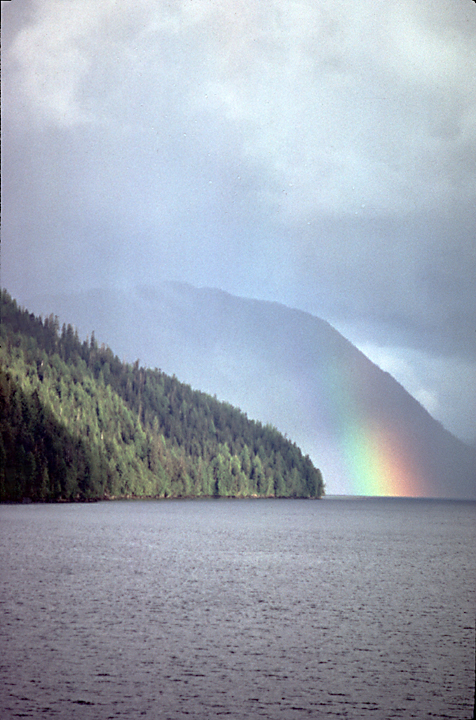 rainbow into blue water with green pine trees bordering the water with white grey clouds in alaska