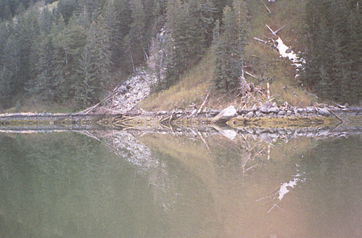 reflection in gold and green in remote bay in alaska