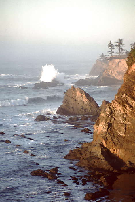 westcoast rocky shoreline