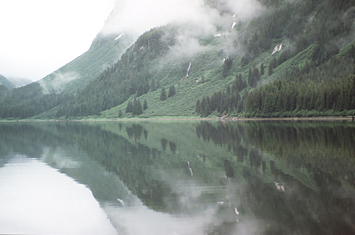 green pine trees and meadow with low clouds reflecting in flat calm water