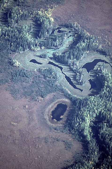 aerial in alaska of oxbow stream turned into ponds