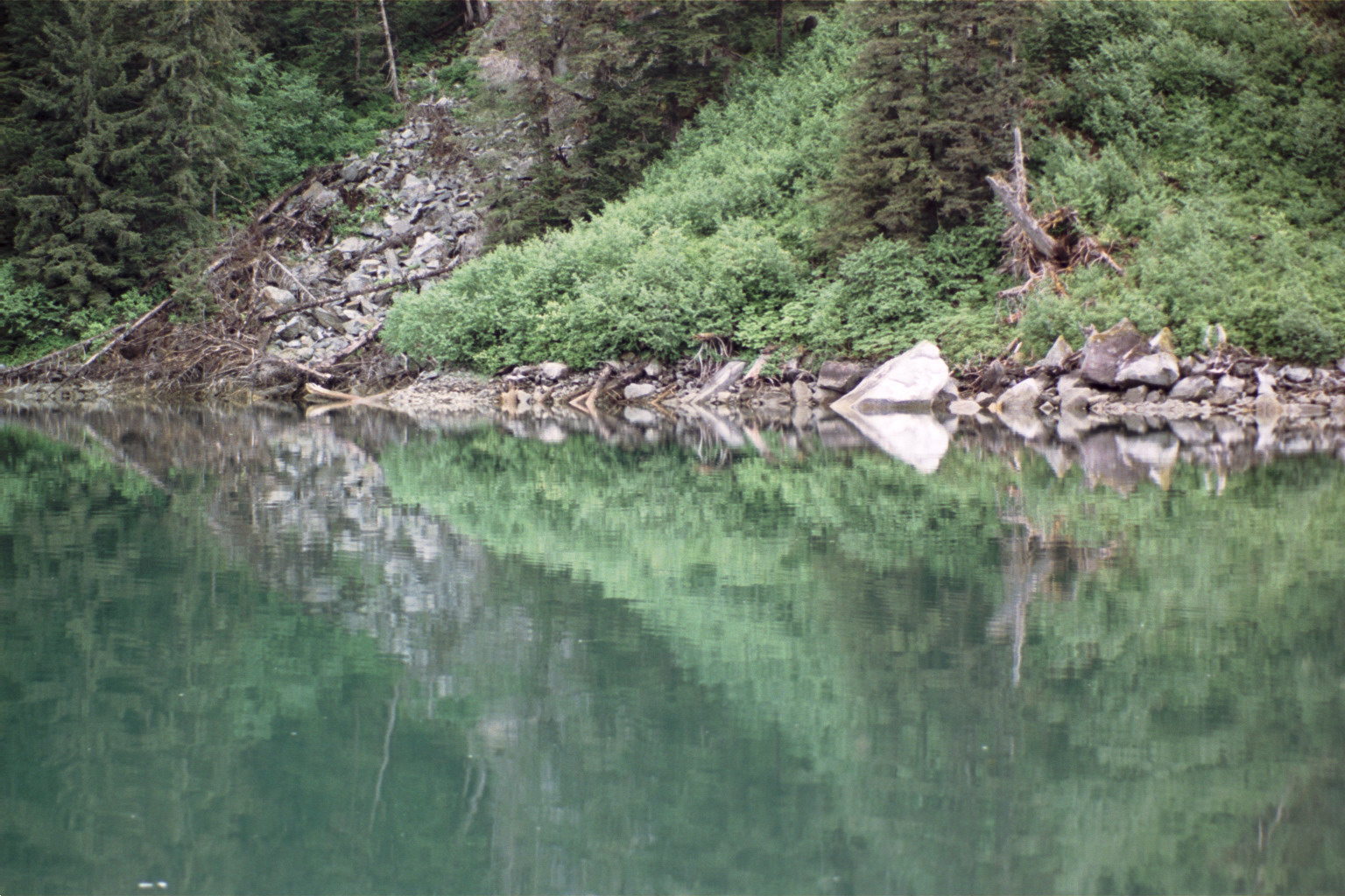 green and grey reflection of bushes and rocks in alaska