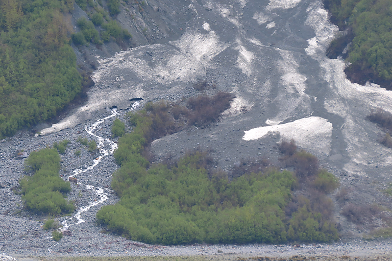 Small white stream out of large grey and white snow patch with green trees in foreground in Alaska