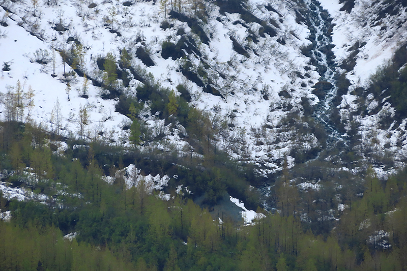 black and white snowy hillside with stream and green trees in fore front