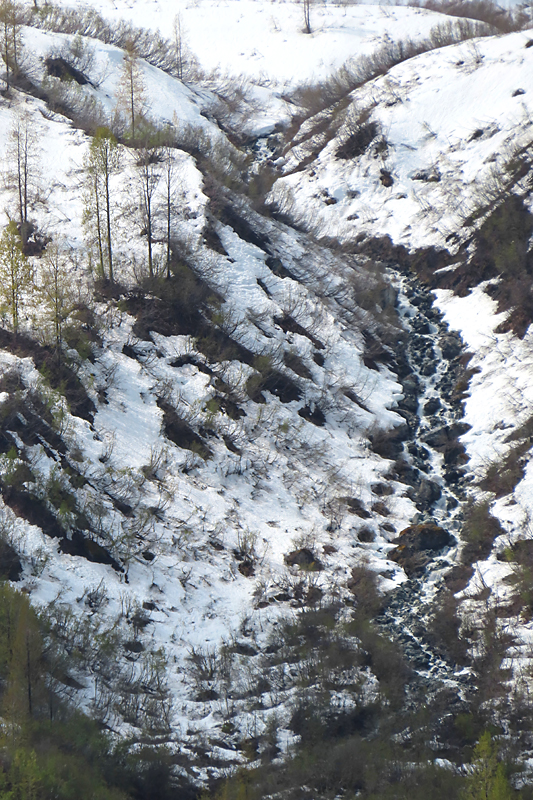 almost black and white picture of snow and stream with a few green trees in Alaska