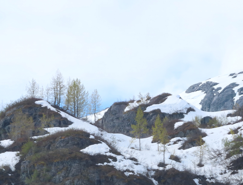 snow patches on hills with green trees and cloudy sky in Alaska