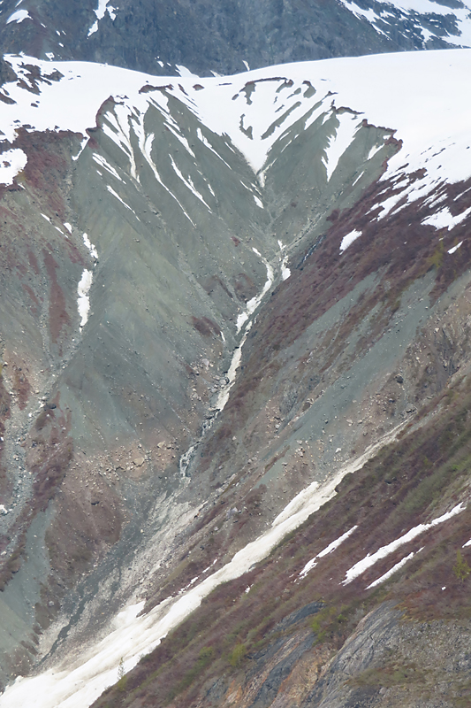 grey rock mountain side with snow patches and red plant life in Alaska