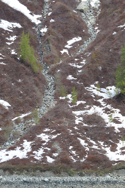 Grey rocky slope covered with red plants, white snow patches, and a few green trees