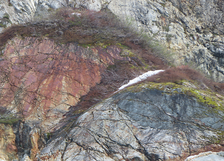 colorful hillside of greys and red rocks with patches of green and red and silver plants