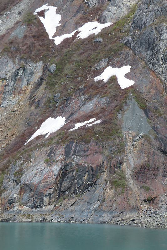 green and red plants on hillside with white snow patches grey rock and green water in Alaska