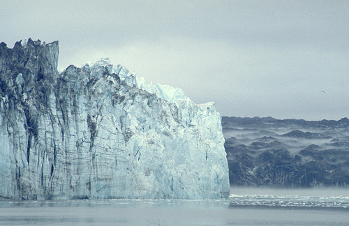 alaska glaciers in the fog margerie grand pacific, glacier bay national park 