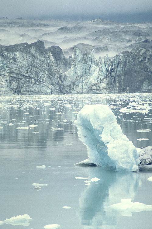 alaska grand pacific glacier in the fog with iceberg