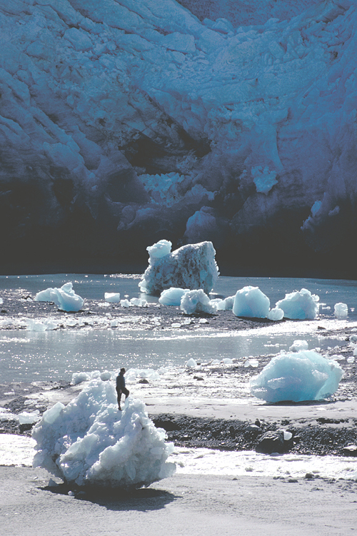 Person standing on stranded iceberg in front of Reid Glacier alaska